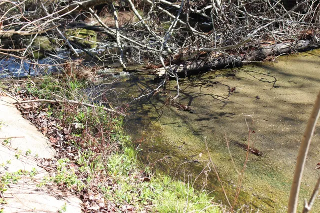 $15,996 | Lot 66 Hidden Lane, Trinity, TX 75862