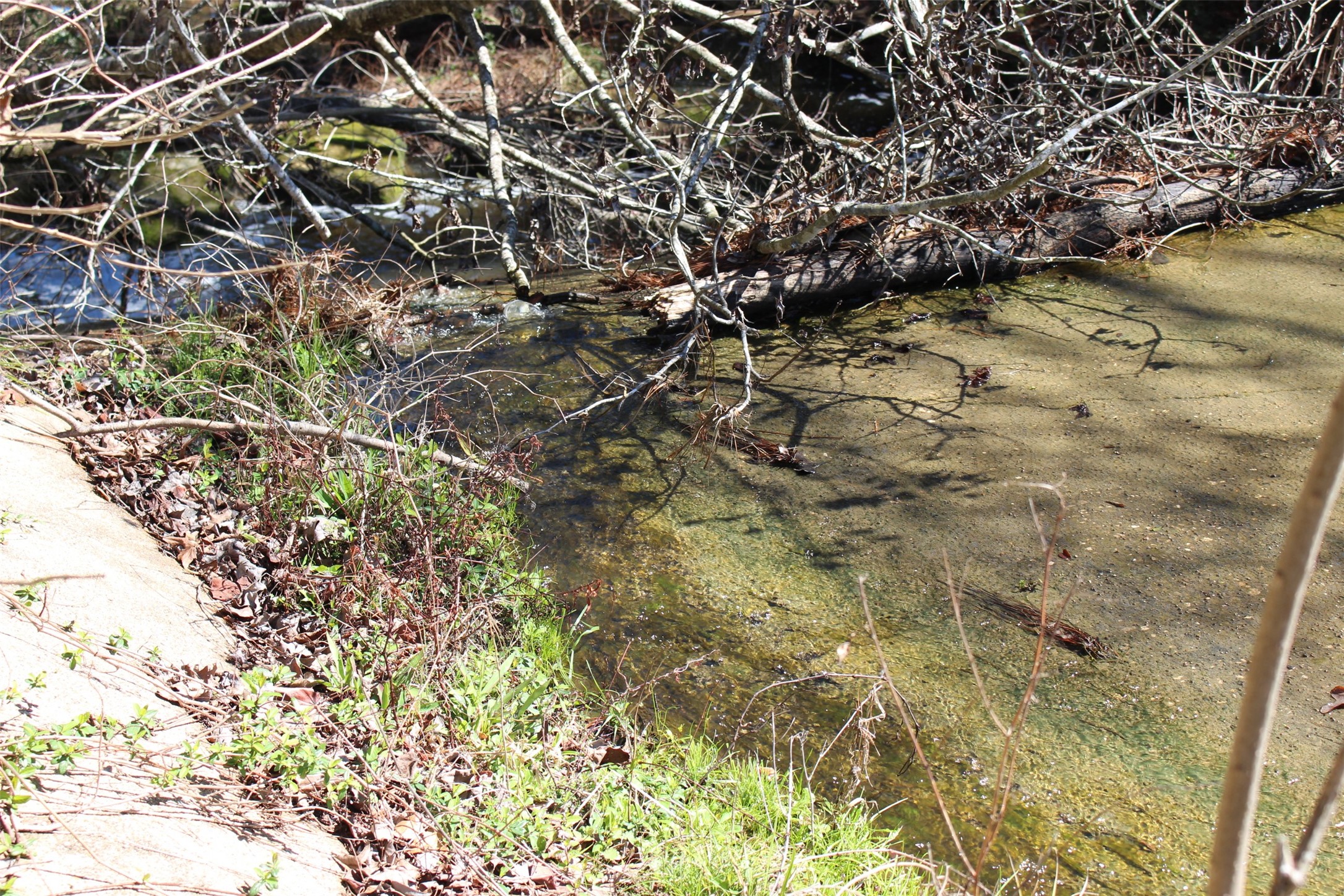 Lot 66 Hidden Lane Trinity, TX 75862 - Photo 8 of 20 Spill way located just feet from property boundary.