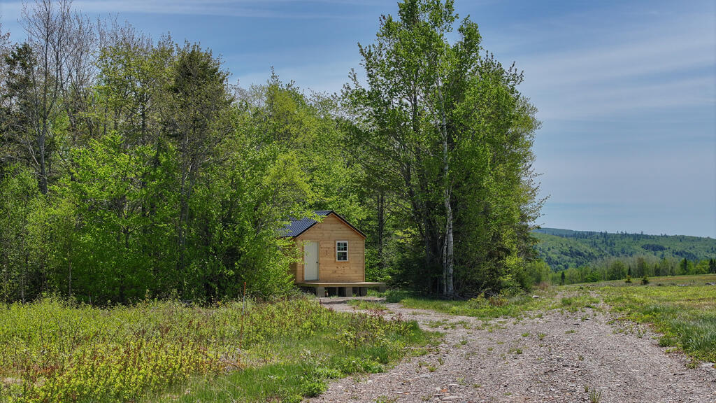 1824 Stateline Road Alexander, ME 04694 - Photo 9 of 23 DJI_20260523123711_0165_D