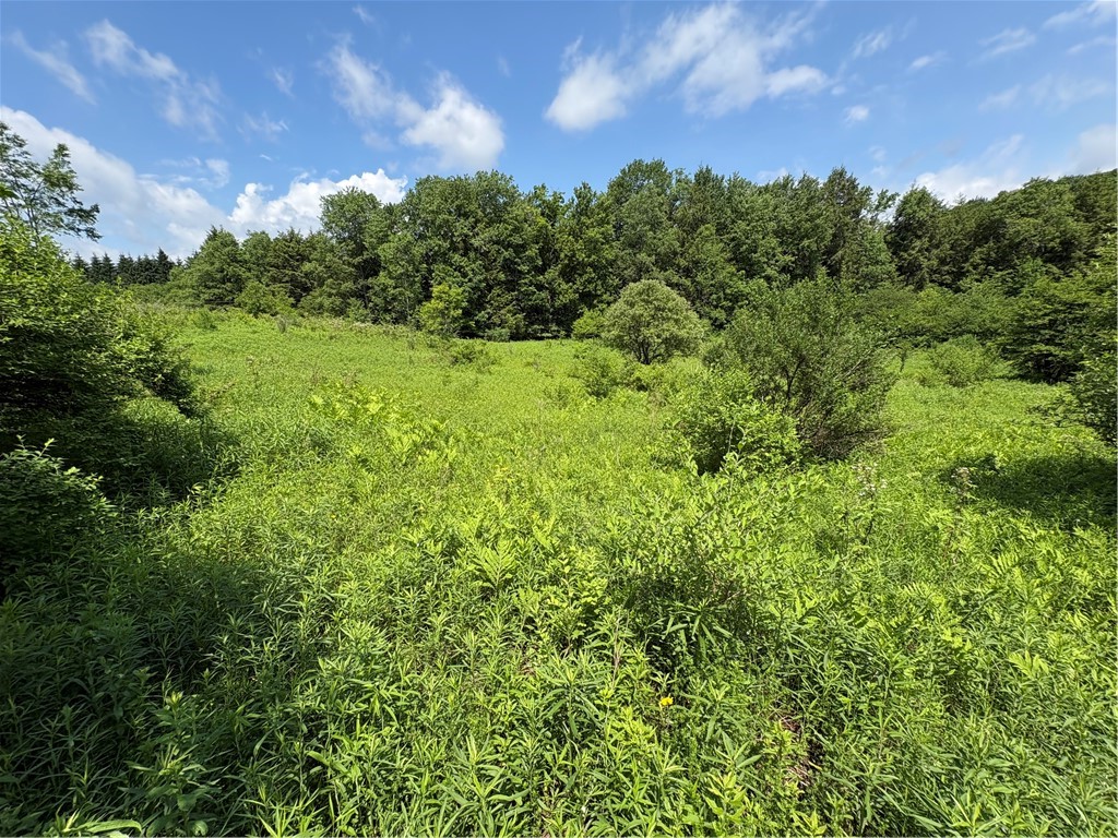 Stage Road South Otselic, NY 13155 - Photo 21 of 29