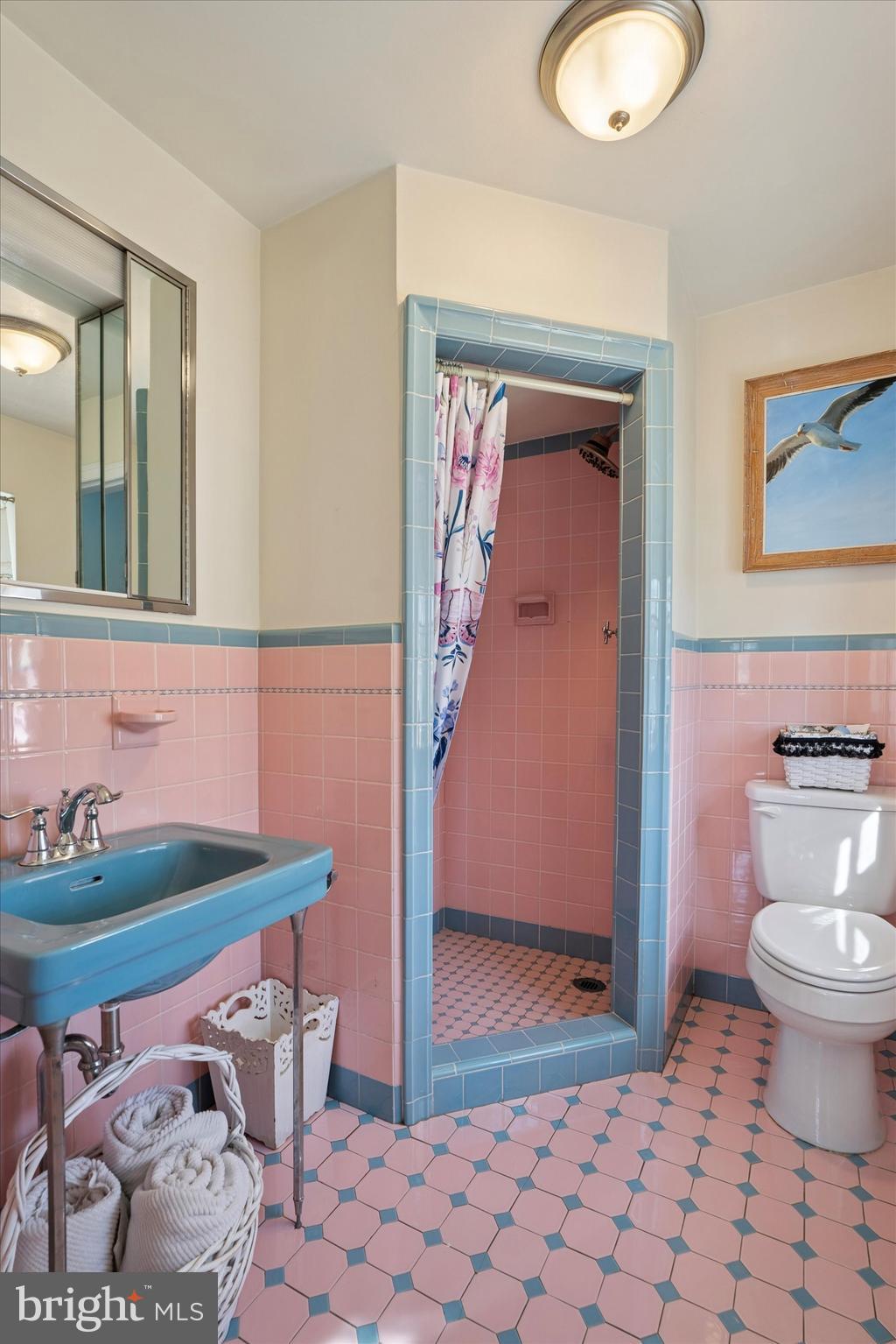 7809 Knox Road Glenside, PA 19038 - Photo 23 of 38 Owner's Suite Retro Bathroom