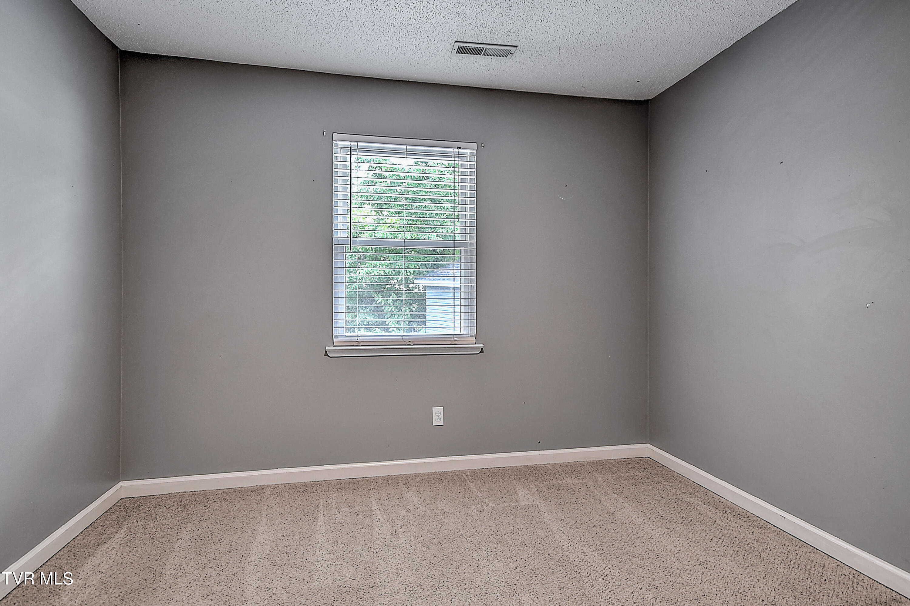 107 Springview Drive Gray, TN 37615 - Photo 26 of 44 28FEABFD-762D-48F8-9BCC-90F108EBAEA0