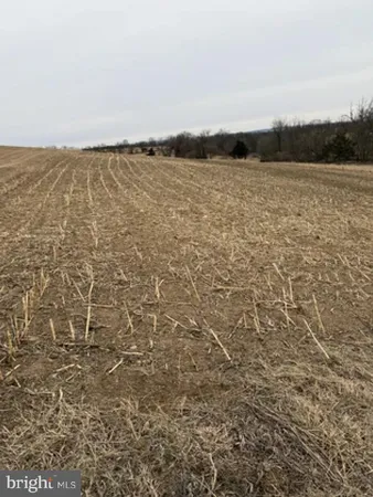 a view of house with backyard