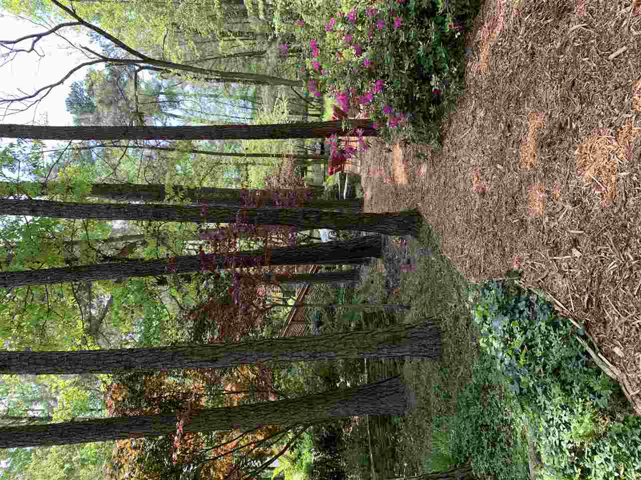 117 Jersey Ridge Road Cary, NC 27518 - Photo 17 of 20 Photo 17