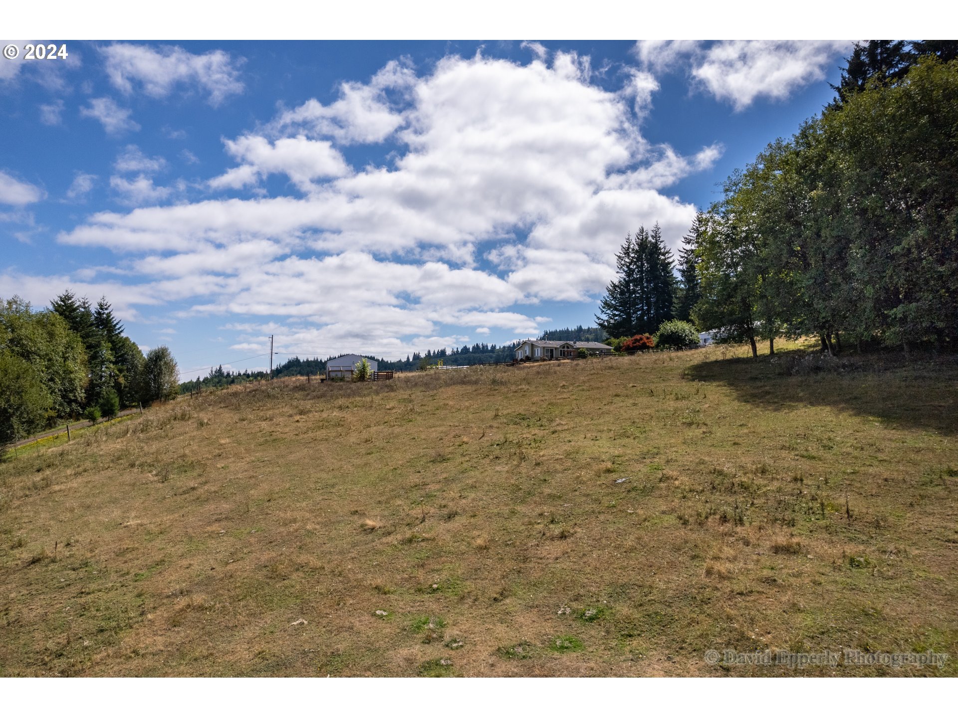 27765 Clark Road Deer Island, OR 97054 - Photo 31 of 38 Pasture