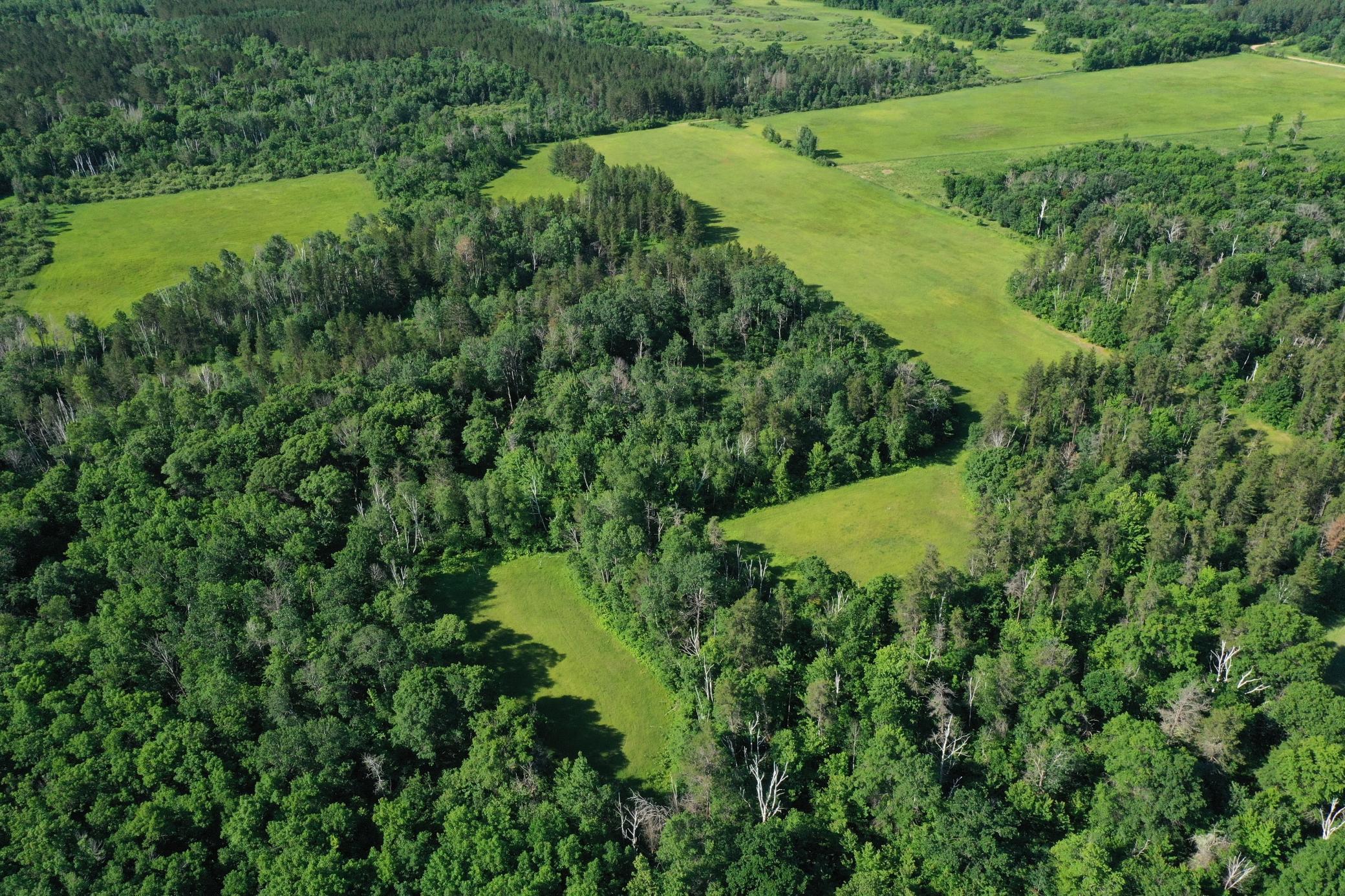 Tbd 205th Avenue Sebeka, MN 56477 - Photo 6 of 21