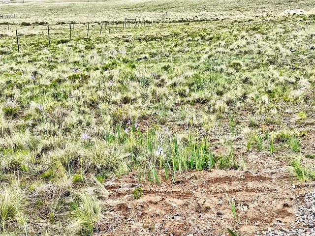 a view of a yard with an outdoor space