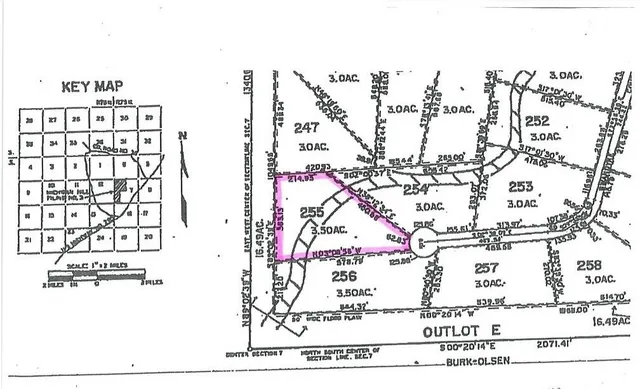 a black and white photo of a painting