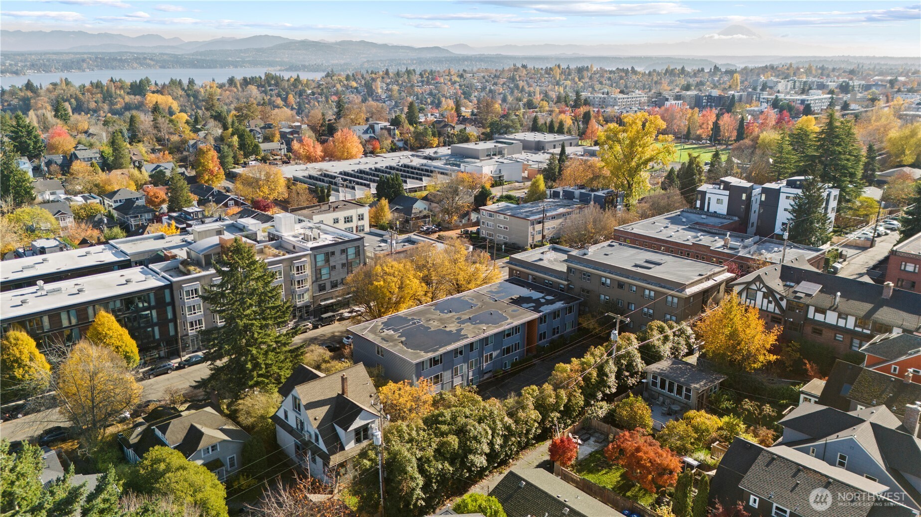 509 19th Avenue East Seattle, WA 98112 - Photo 35 of 40 an aerial view of multiple house