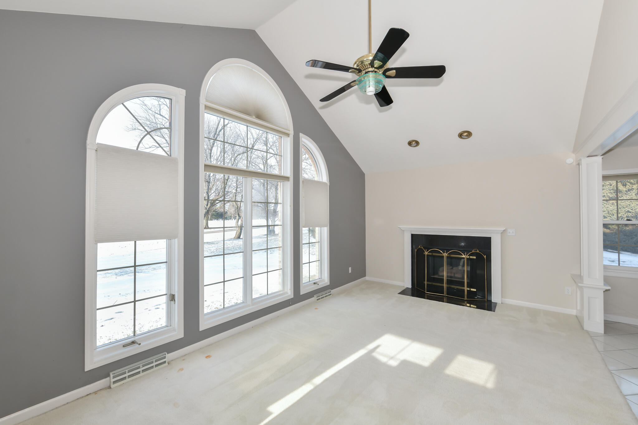 110 Eagle Pointe Drive, Unit 3A Delavan, WI 53115 - Photo 16 of 60 Eye-Catching Fireplace