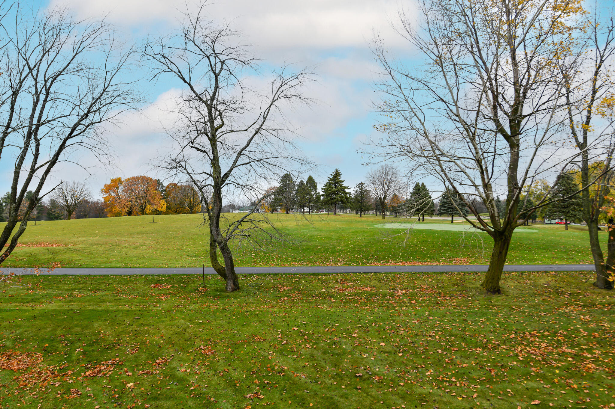 110 Eagle Pointe Drive, Unit 3A Delavan, WI 53115 - Photo 54 of 60 Gorgeous Views of Golf Course