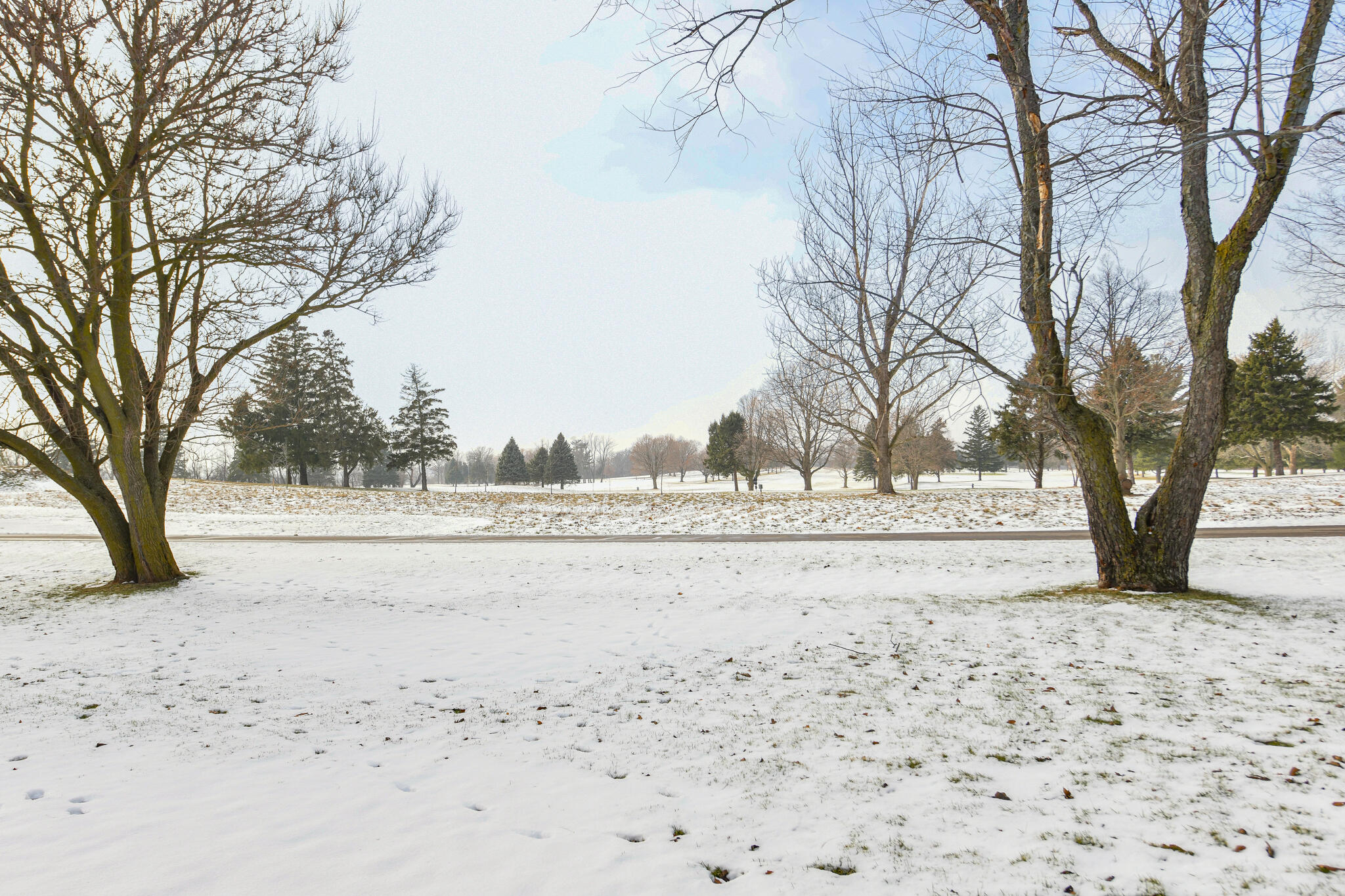 110 Eagle Pointe Drive, Unit 3A Delavan, WI 53115 - Photo 57 of 60 Winter View of Golf Course