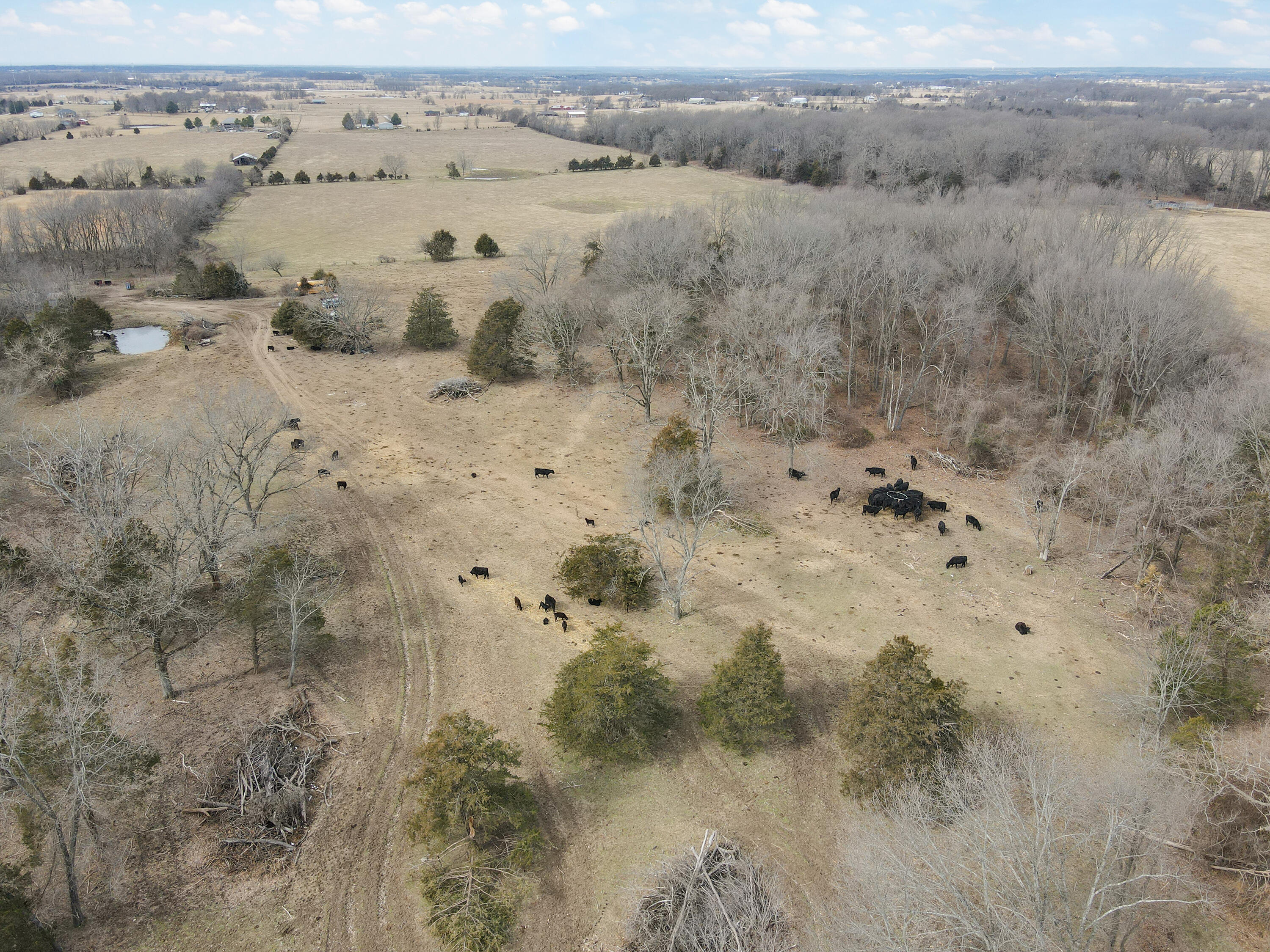 1681 Prairie Ridge Road Ozark, MO 65721 - Photo 15 of 35 1681 Prairie Ridge Rd-16