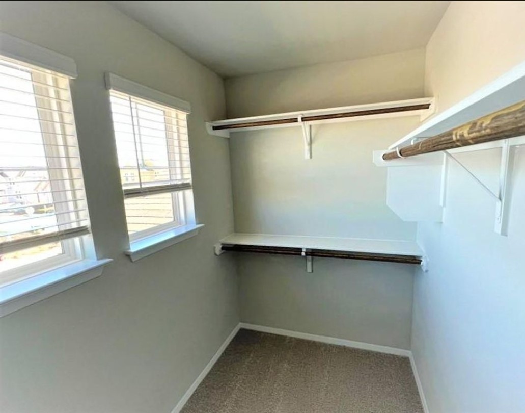 2771 Winding Creek Road Kyle, TX 78640 - Photo 15 of 24 Functional walk-in closet featuring dual windows and ample shelving for organized storage.