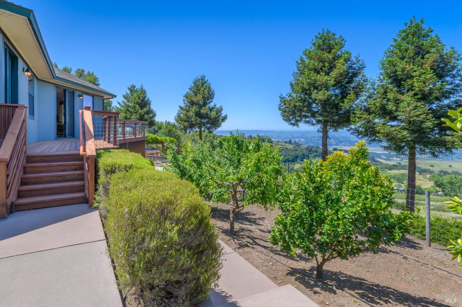 6649 Round Oak Road Penngrove, CA 94951 - Photo 49 of 57
