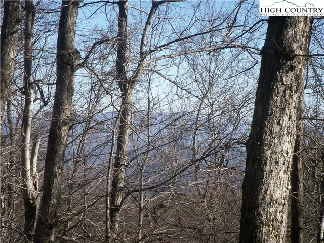 $70,000 | Tbd Lot 176 Tbd Troon Avenue, Thurmond, NC 28683