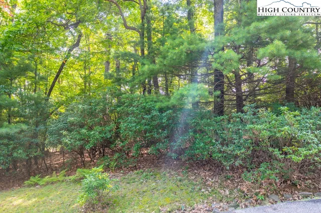 $70,000 | Tbd Lot 176 Tbd Troon Avenue, Thurmond, NC 28683