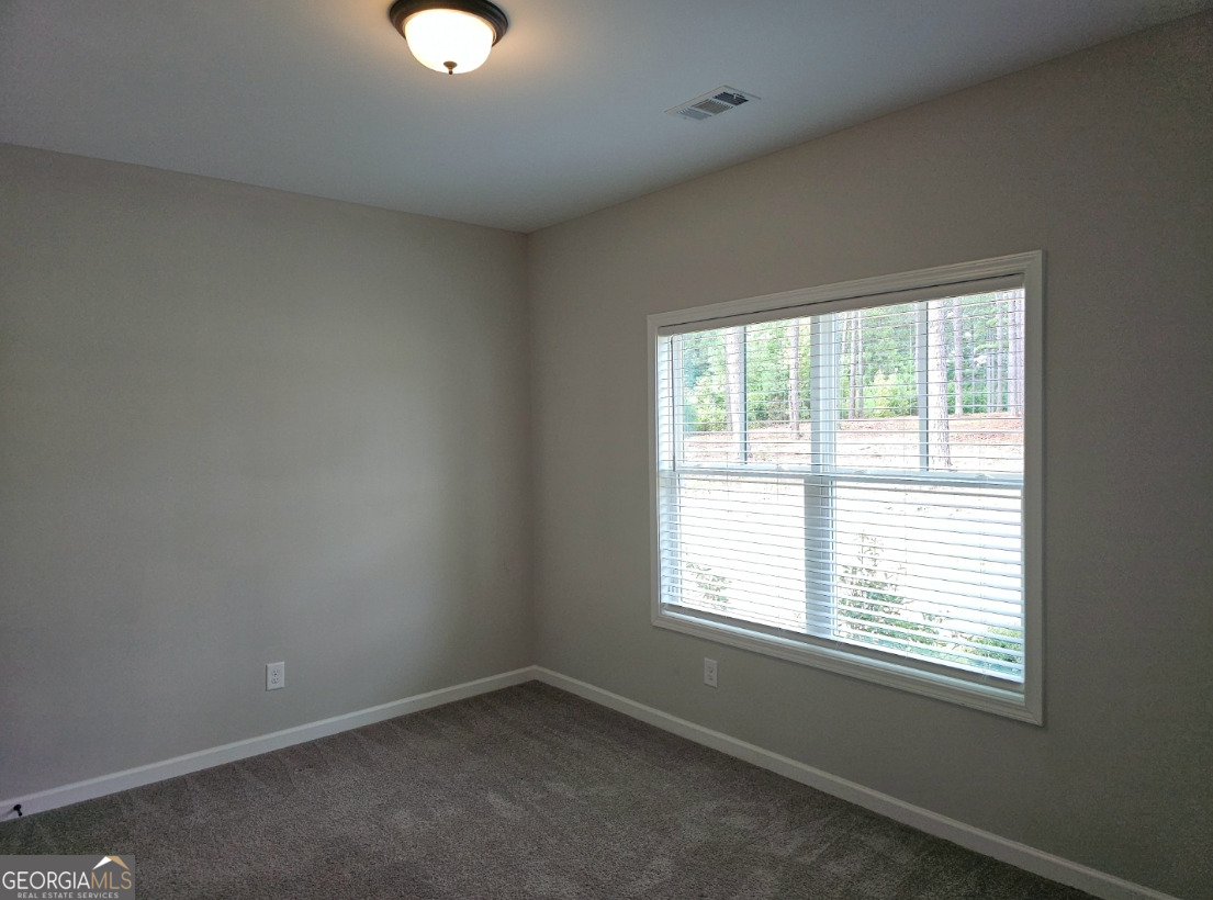 345 Rising Star Road Senoia, GA 30276 - Photo 26 of 42