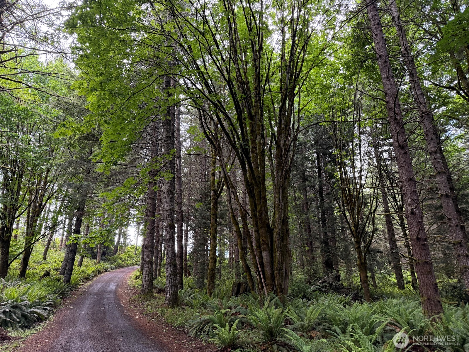 496 Last Camp Road Quilcene, WA 98376 - Photo 21 of 29