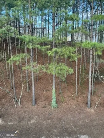 $2,200 | 212 Riverstone Commons Circle, Canton, GA 30114