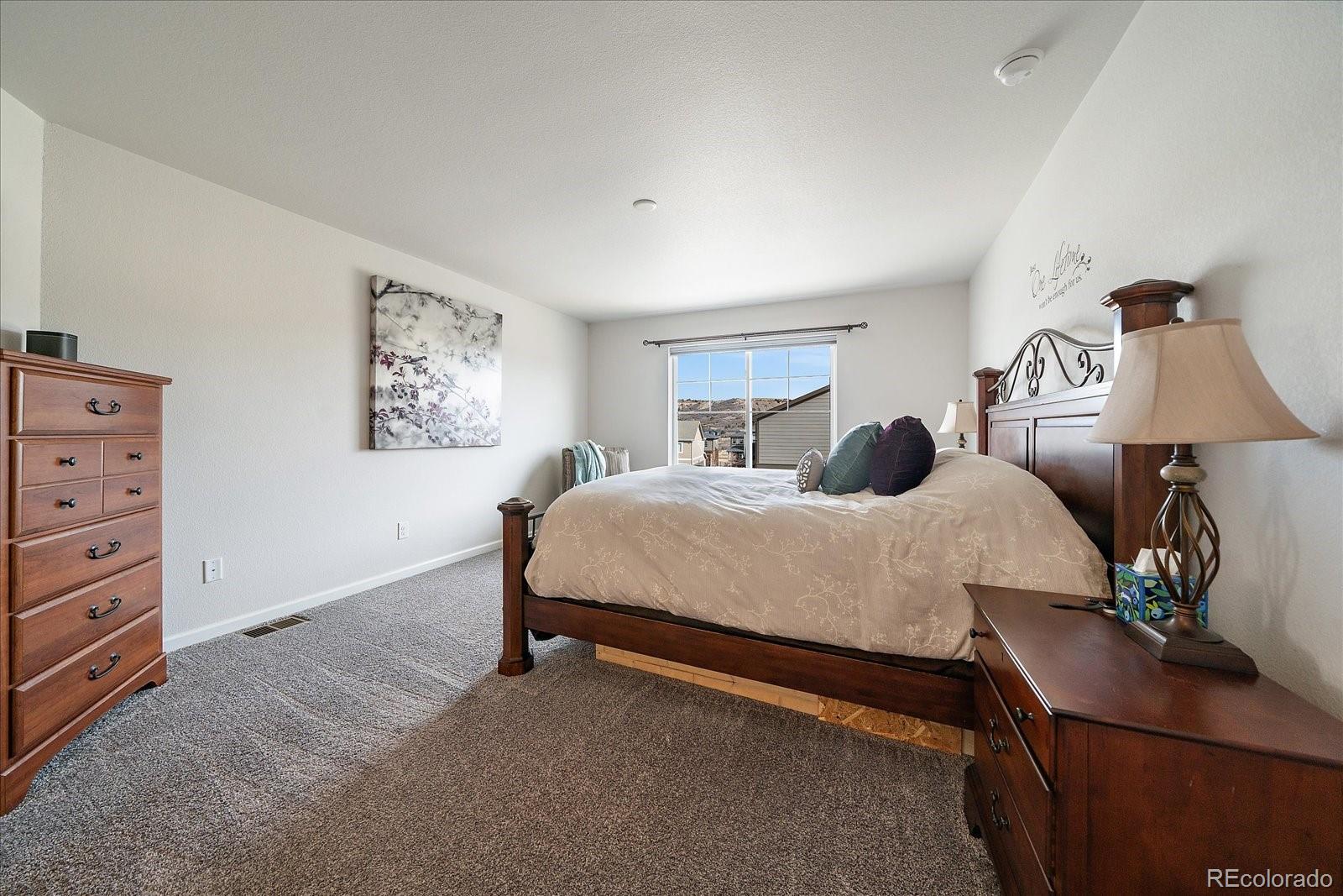 2989 Bittern Street Castle Rock, CO 80104 - Photo 21 of 42