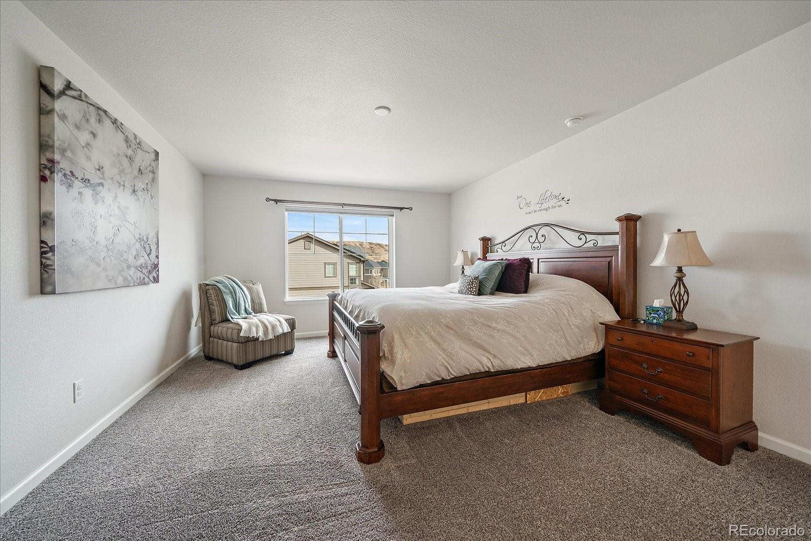 2989 Bittern Street Castle Rock, CO 80104 - Photo 22 of 42