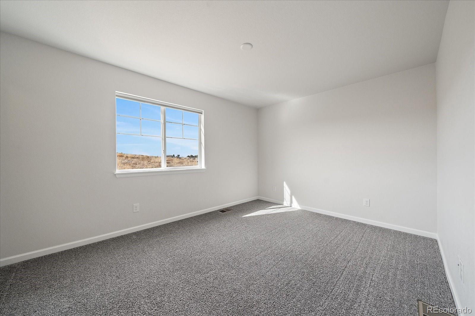 2989 Bittern Street Castle Rock, CO 80104 - Photo 28 of 42