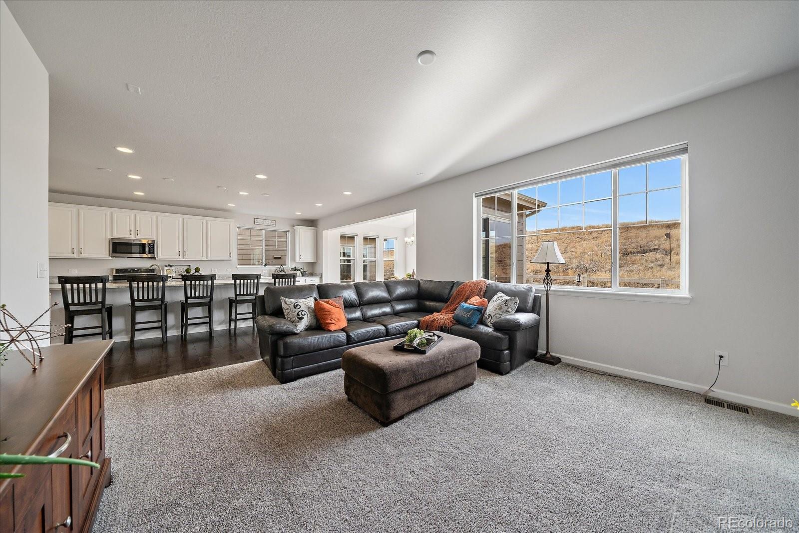 2989 Bittern Street Castle Rock, CO 80104 - Photo 10 of 42