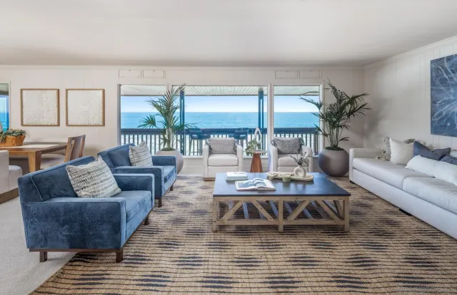 a living room with furniture floor to ceiling window and potted plant