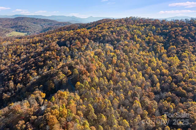 $29,000 | Tbd Lot 103 Tbd Court, Spruce Pine, NC 28777