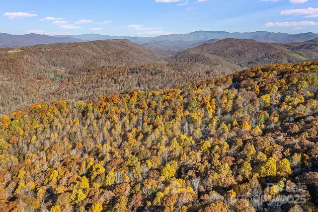 $29,000 | Tbd Lot 103 Tbd Court, Spruce Pine, NC 28777