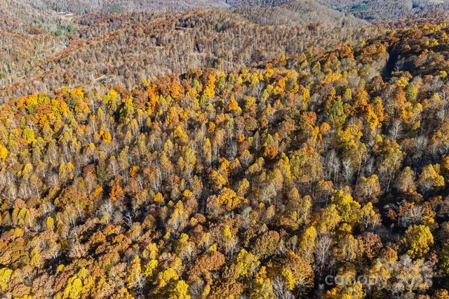 $29,000 | Tbd Lot 103 Tbd Court, Spruce Pine, NC 28777