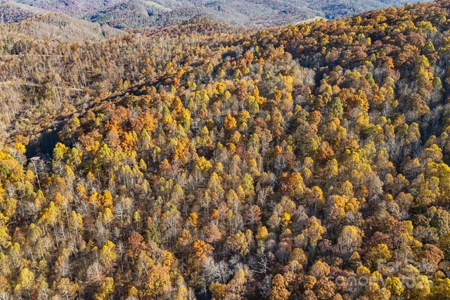 $29,000 | Tbd Lot 103 Tbd Court, Spruce Pine, NC 28777