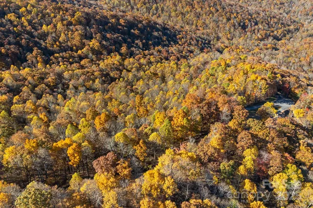 $29,000 | Tbd Lot 103 Tbd Court, Spruce Pine, NC 28777