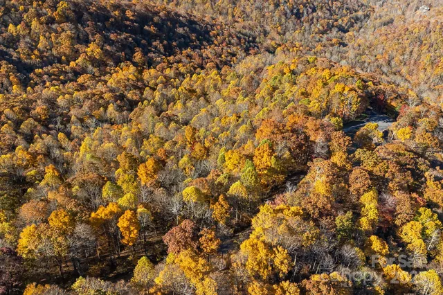 $29,000 | Tbd Lot 103 Tbd Court, Spruce Pine, NC 28777