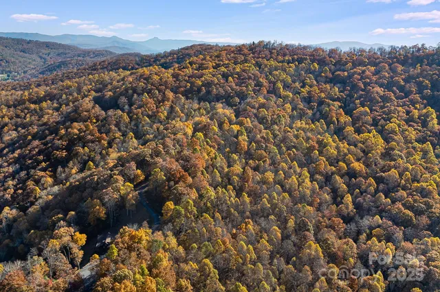 $29,000 | Tbd Lot 103 Tbd Court, Spruce Pine, NC 28777