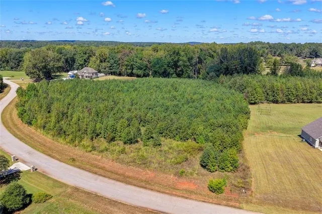a view of a yard with plants