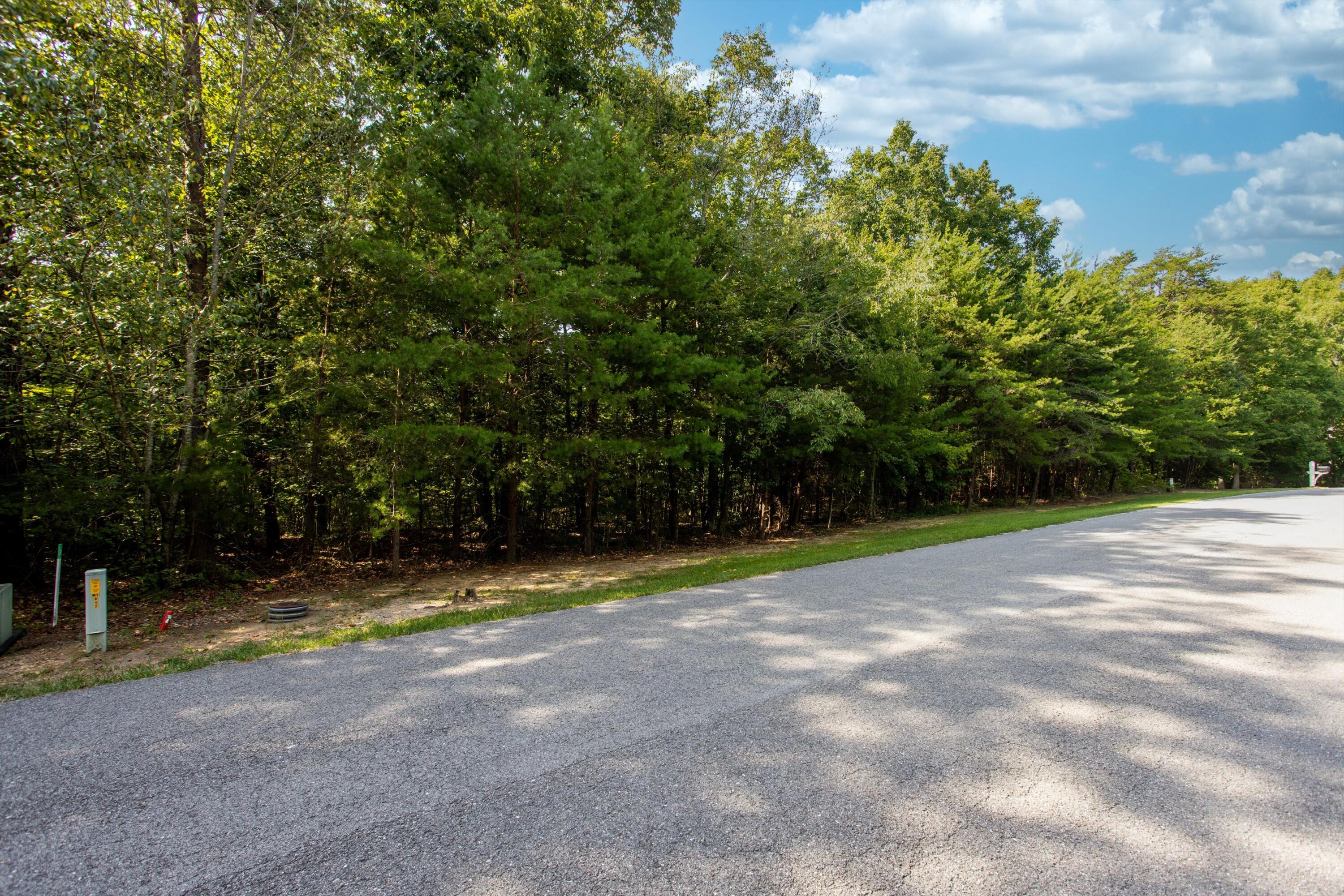 Lot 5 North Stewart Lane Rising Fawn, GA 30738 - Photo 3 of 17 14-LOT #5 ground (1 of 3)
