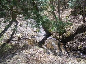 0 Hooty Hollow Road Hiltons, VA 24258 - Photo 3 of 9 Photo 3