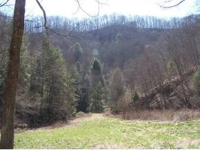 0 Hooty Hollow Road Hiltons, VA 24258 - Photo 9 of 9 Photo 9