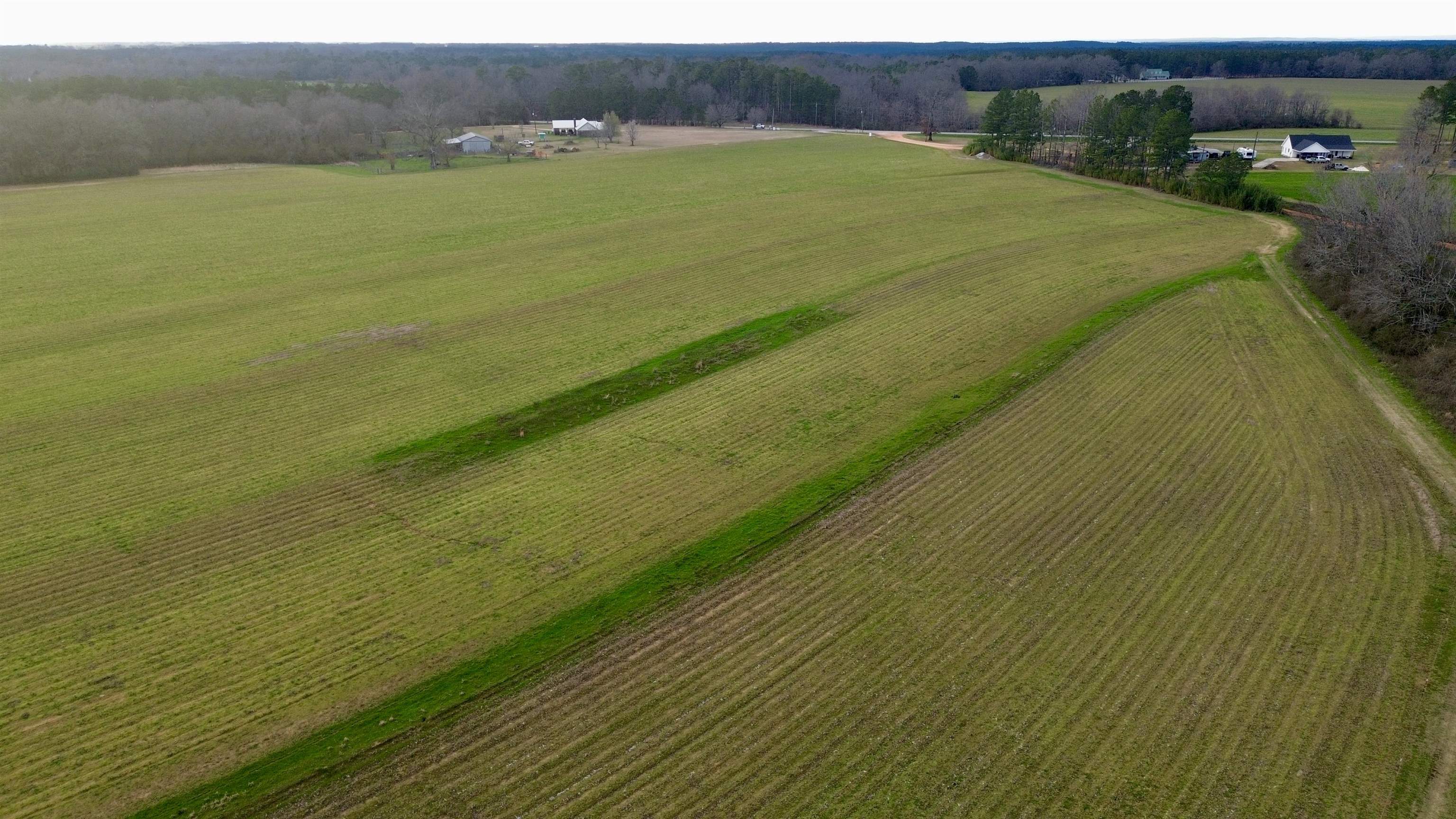 0 James Brooks Road Atmore, AL 36502 - Photo 11 of 16 Aerial View