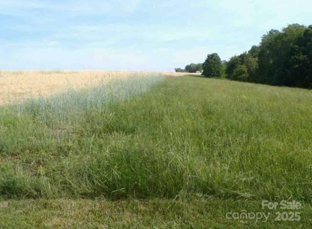 0 County Line Road Stony Point, NC 28678 - Photo 2 of 6 Gallery Image 2
