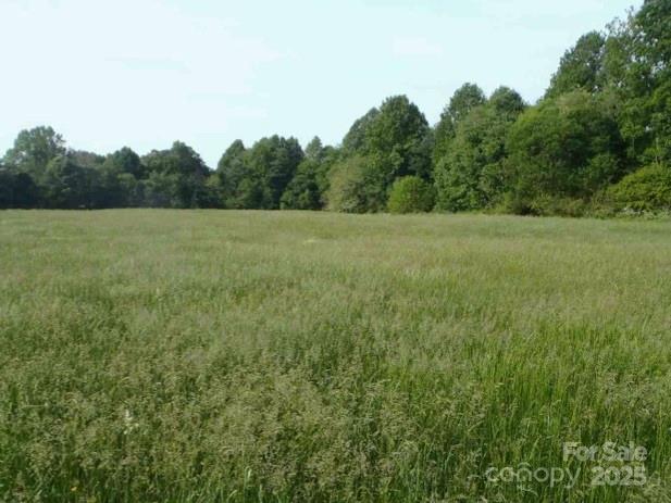 0 County Line Road Stony Point, NC 28678 - Photo 3 of 6 Gallery Image 3