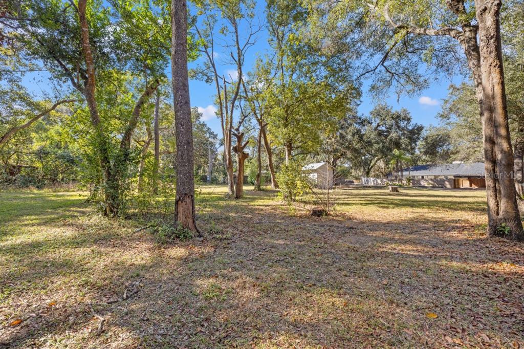 12414 Fort King Road Dade City, FL 33525 - Photo 56 of 60 a view of outdoor space with trees