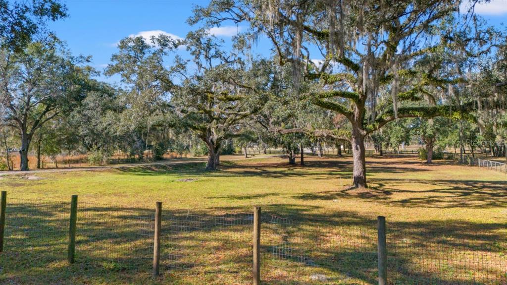 12414 Fort King Road Dade City, FL 33525 - Photo 7 of 60 a view of a yard with trees