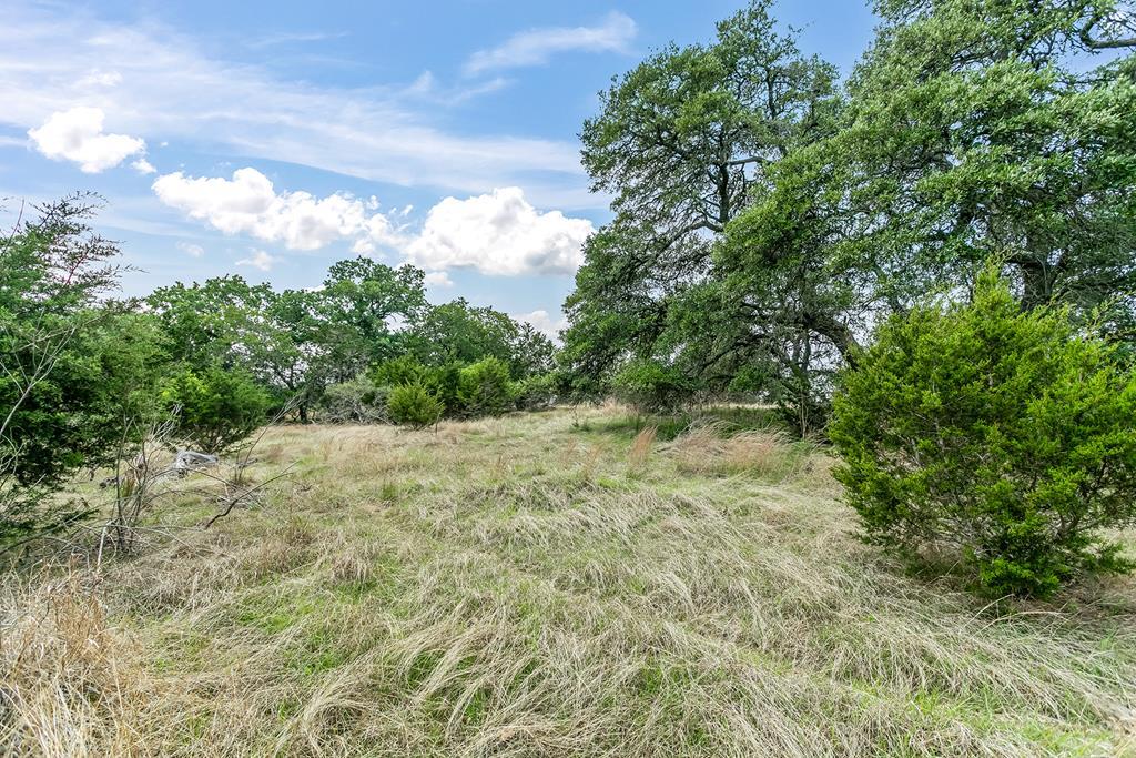 221 Spring Road, Unit 31 Fredericksburg, TX 78624 - Photo 1 of 6 Main View