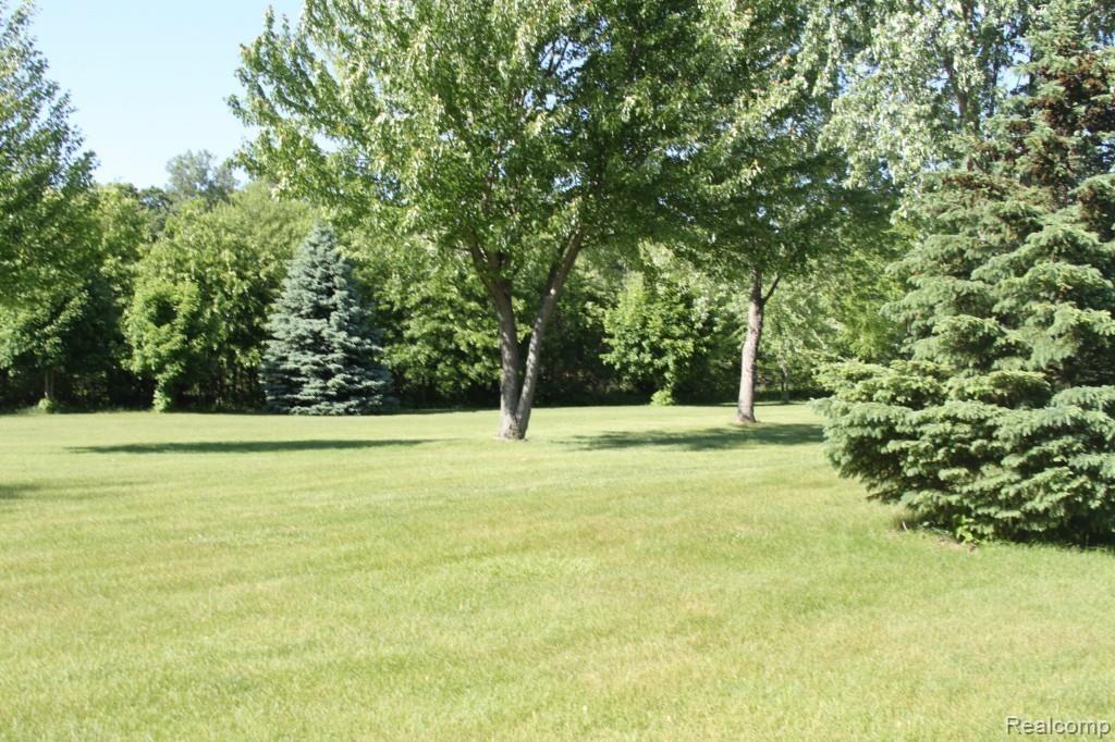 3700 Heiss Road Monroe, MI 48162 - Photo 2 of 36 Heiss Side Yard.jpg