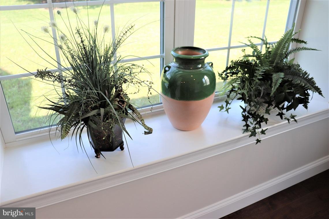 1029 Suffolk Drive Lititz, PA 17543 - Photo 20 of 41 Deep Window Sill