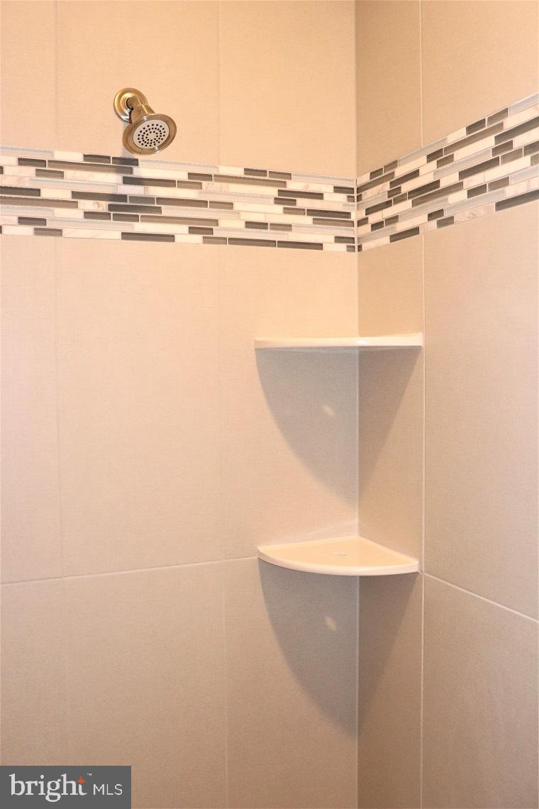 1029 Suffolk Drive Lititz, PA 17543 - Photo 28 of 41 Shower Details