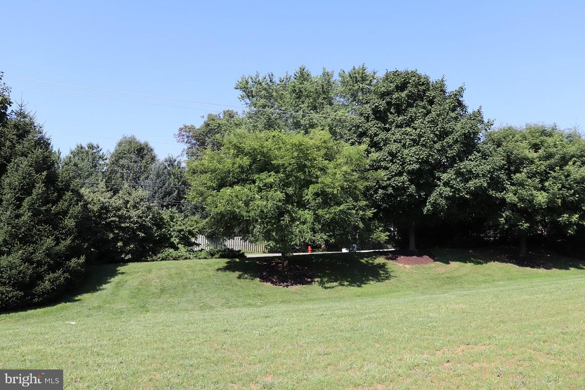1029 Suffolk Drive Lititz, PA 17543 - Photo 40 of 41 View from Patio